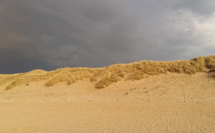 Die kleine Bäckerei am Strandweg – Jenny Colgan