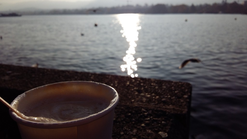 Zürich-See